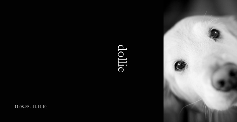 Screen shot 2011-02-01 at 6.34.20 PM